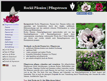 Tablet Screenshot of baumpfingstrosen.de